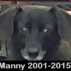 Manny .2001-2015